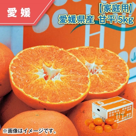 家庭用 愛媛県産 甘平 5ｋｇ