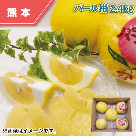 パール柑2.4ｋｇ