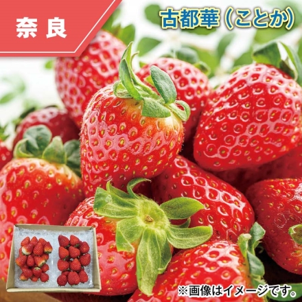 古都華（ことか） 360g（2パック）