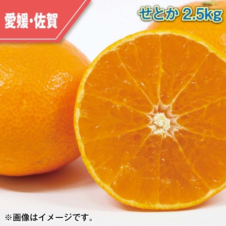 せとか2.5ｋｇ