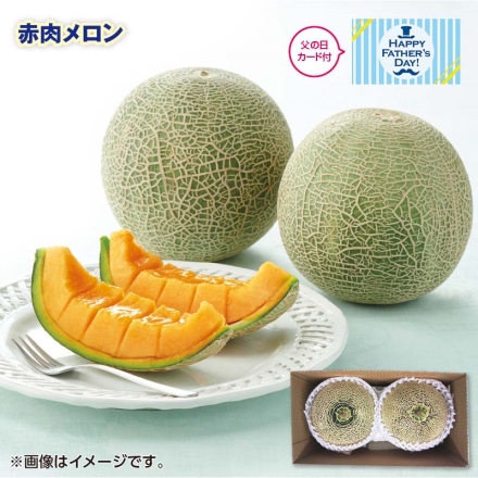 父の日 2025年6月12日から6月15日の間にお届け 赤肉メロン 1.8kg（2個） ギフト プレゼント