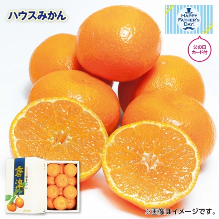 父の日 2025年6月12日から6月15日の間にお届け ハウスみかん 1kg（10～15個） ギフト プレゼント