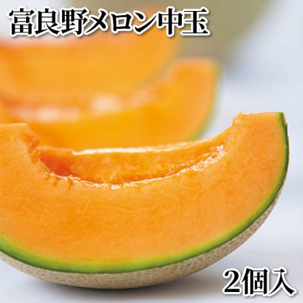 富良野メロン中玉 2個入