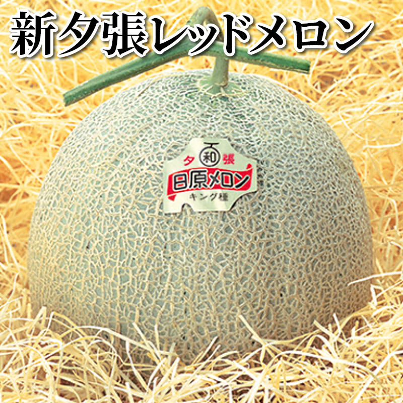 新夕張レッドメロン キング種(赤肉)1.5kg×2