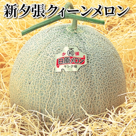 新夕張クィーンメロン レッド種(赤肉)1.3kg×2