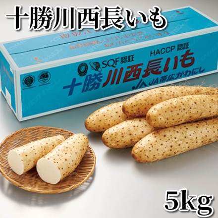 十勝川西長いも 5ｋｇ