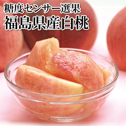 糖度センサー選果 福島県産白桃 1ｋｇ（秀：4～6個）