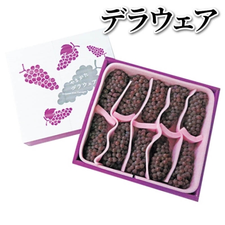 デラウェア 1.4ｋｇ（Ｌまたは2Ｌ：10～12房）