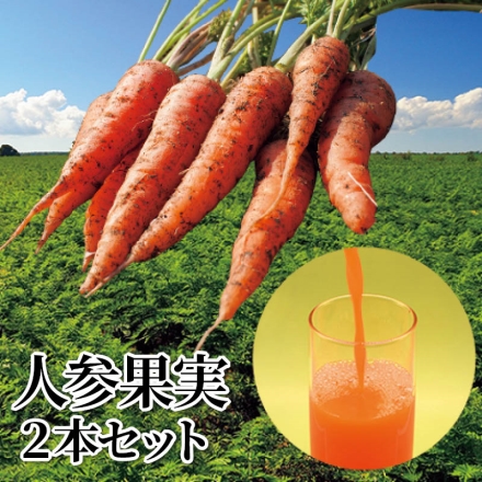 人参果実 2本セット