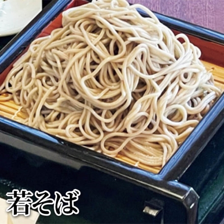 若そば めん150g・めんつゆ30g 各6