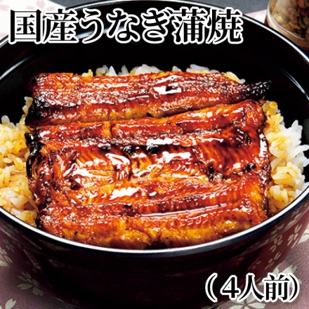 国産うなぎ蒲焼（4人前）