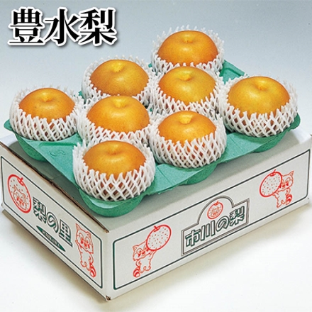 豊水梨 2.6ｋｇ（4～11個）