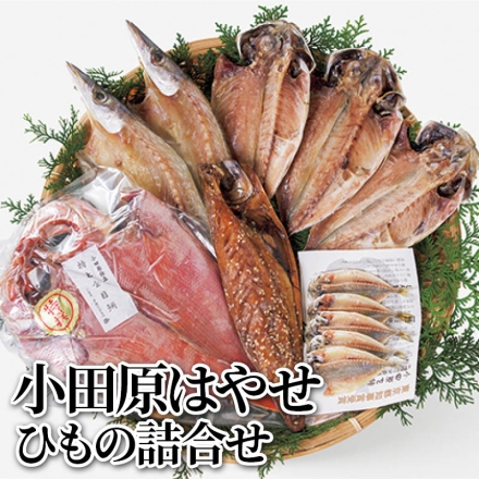 小田原はやせ ひもの詰合せ 真あじ3枚、豆あじ5枚、かます2枚、金目鯛・さば醤油干 各1枚