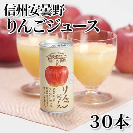 信州安曇野りんごジュース 30本