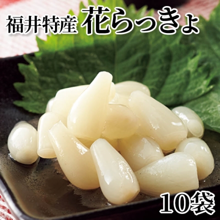 福井特産花らっきょ 10袋