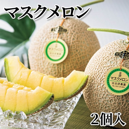 マスクメロン 2個入