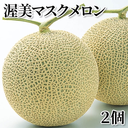 渥美マスクメロン 2個