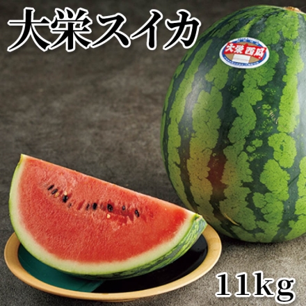 大栄スイカ 11ｋｇ