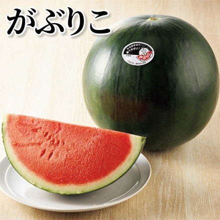 がぶりこ 7kg(2L)