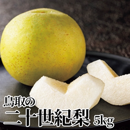 鳥取の二十世紀梨 5ｋｇ