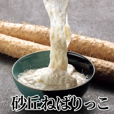 砂丘ねばりっこ 2.5kg(2～4本)