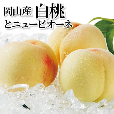 岡山産白桃とニューピオーネ 白桃480g(2個)、ニューピオーネ500g(1房)