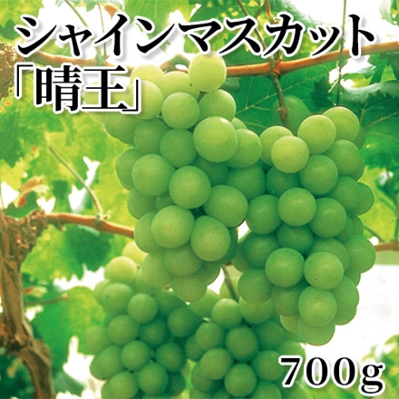 シャインマスカット「 晴王 」 700ｇ