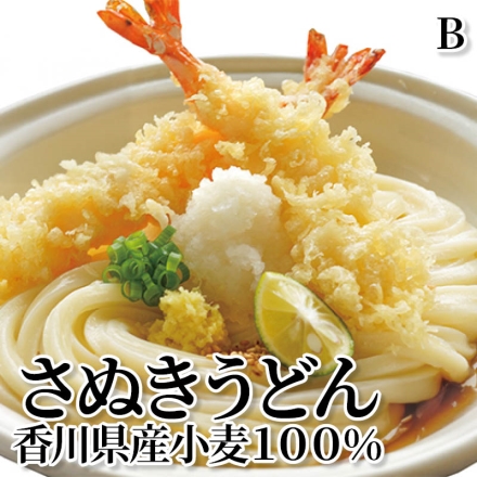 さぬきうどん香川県産小麦100％ Ｂ 半生めん300g・つゆ35ml 各3