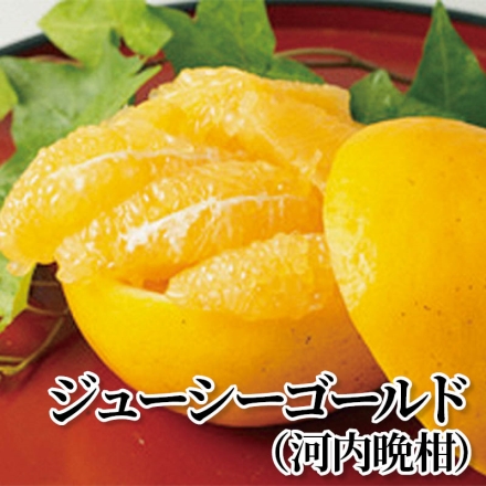 ジューシーゴールド（河内晩柑） 3kg(6～13個)