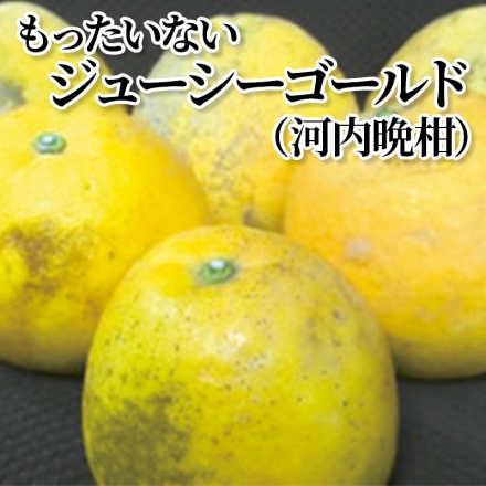 もったいないジューシーゴールド（河内晩柑） 4.5kg