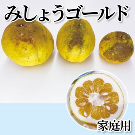 みしょうゴールド 家庭用 5kg(7～20個)