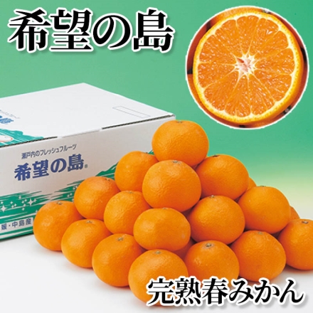 希望の島 完熟春みかん カラマンダリン3kg(中玉：22～28個)