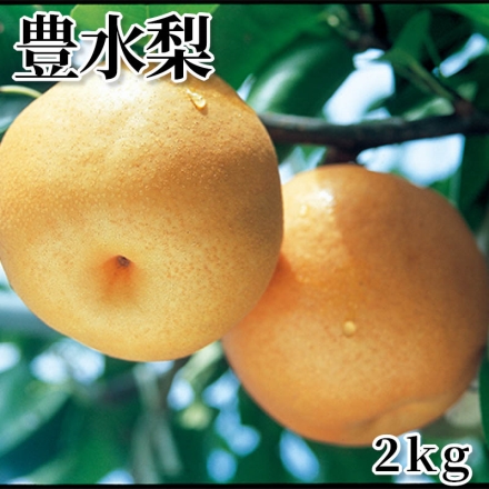 豊水梨 2ｋｇ
