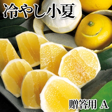 冷やし小夏 贈答用 Ａ 2kg(10～14個)