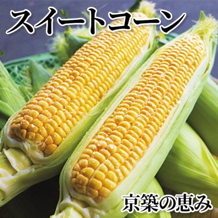 スイートコーン 京築の恵み 3kg(6～10本)