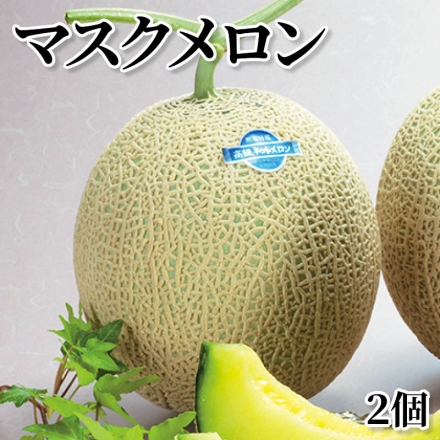 マスクメロン 2個