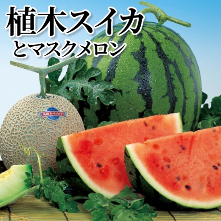 植木スイカとマスクメロン スイカ5kg、メロン1.5kg