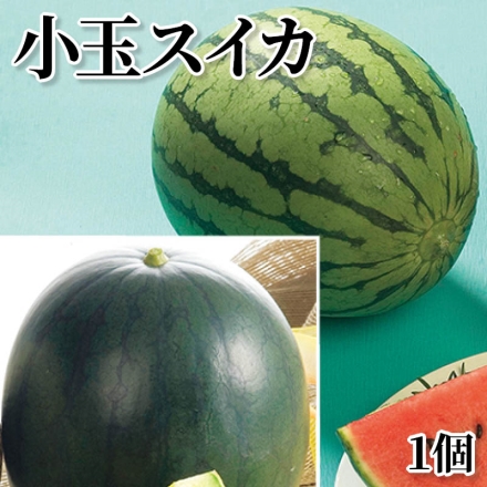 小玉スイカ 1個