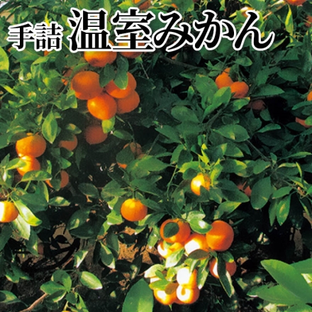 手詰温室みかん 4.2kg(S～2L：25～50個)