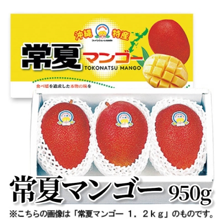 常夏マンゴー 950ｇ