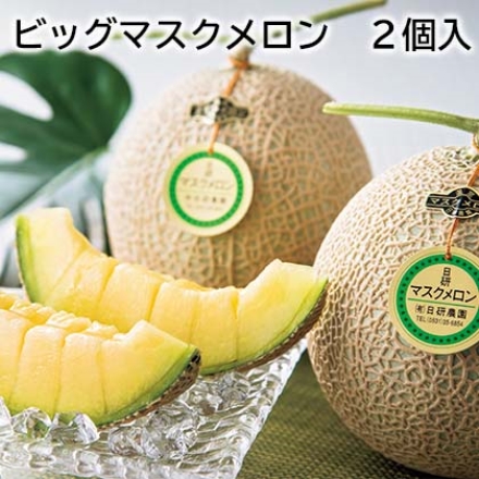 ビッグマスクメロン 2個入