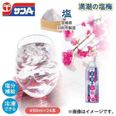 満潮の塩梅 490ml×24 ※梅は香料使用｜永久不滅ポイント・UC