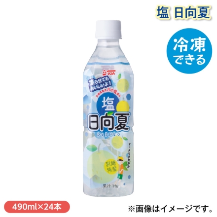 塩 日向夏 490ml×24