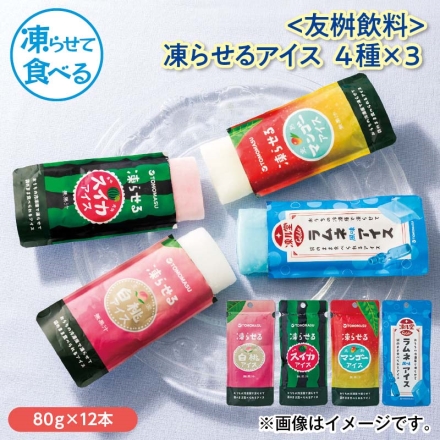 〈友桝飲料〉凍らせるアイス 4種×3