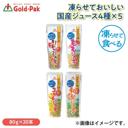 凍らせておいしい国産ジュース4種×5