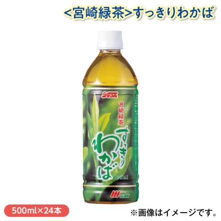 〈宮崎緑茶〉すっきりわかば 500ml×24