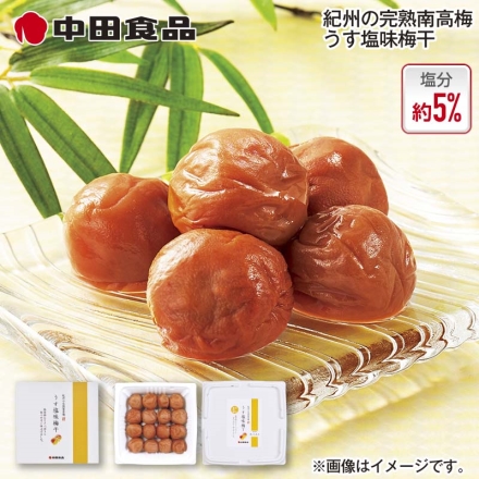 中田食品 紀州の完熟南高梅 うす塩味梅干 4箱