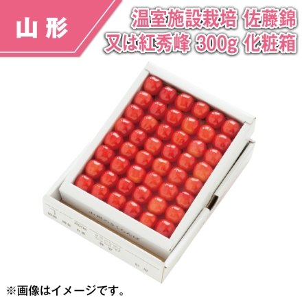 温室施設栽培 佐藤錦又は紅秀峰 300ｇ 化粧箱