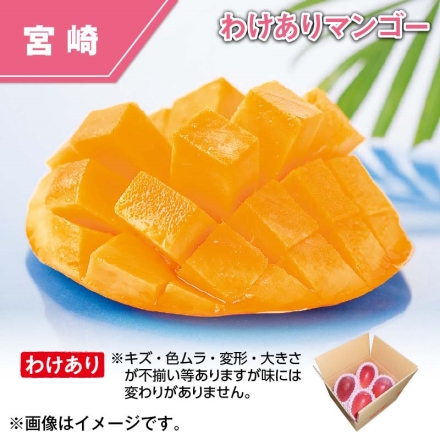 宮崎県 西都産 わけあり マンゴー 1.4kg（3～4玉）