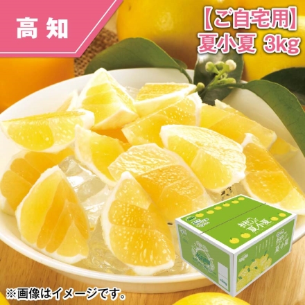 ご自宅用 夏小夏 3ｋｇ